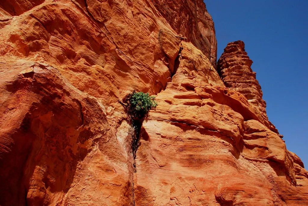 Jordan: Using Eco-Tourism for Sustainable Development