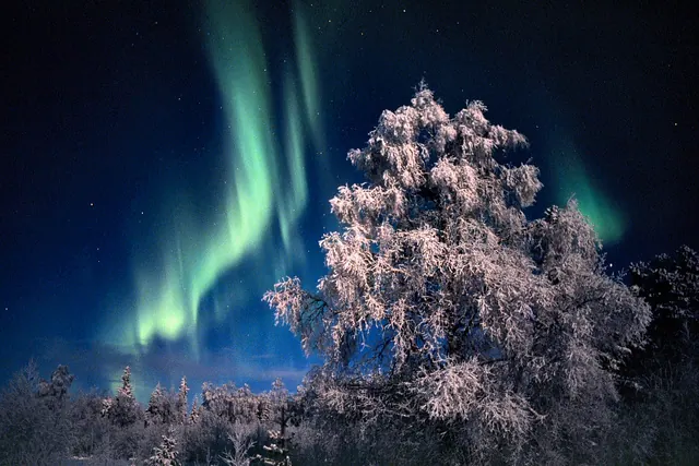Finland's Network of Green Ecotourism Businesses