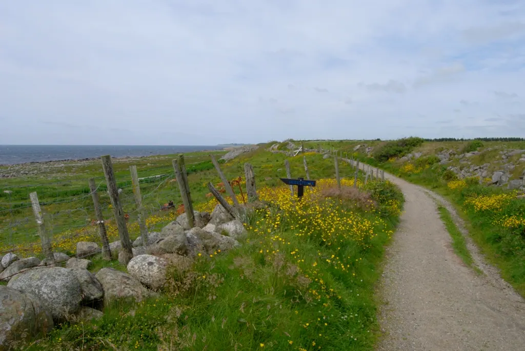 Biking in Norway: ecotourism experience