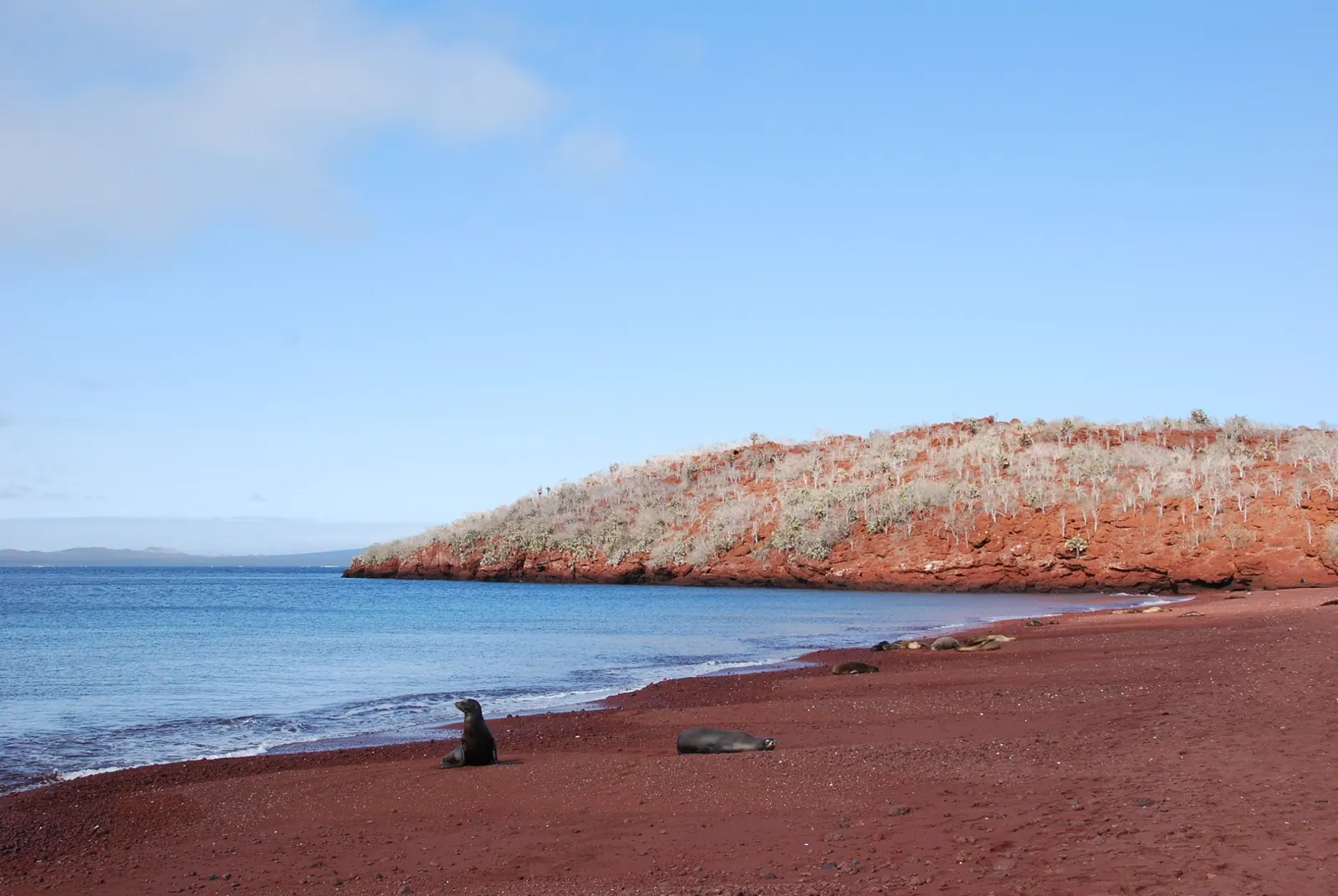 Ecotourism in the Galapagos: Take Only Photographs, and Leave Nothing