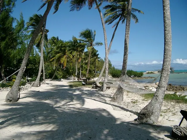 Ecotourism in the Bahamas