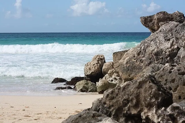 Ecotourism in Barbados