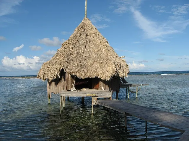 Ecotourism in Belize, Preserve, Conserve, and Educate