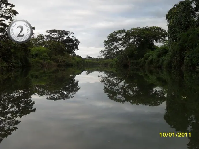 Reef to Rainforest