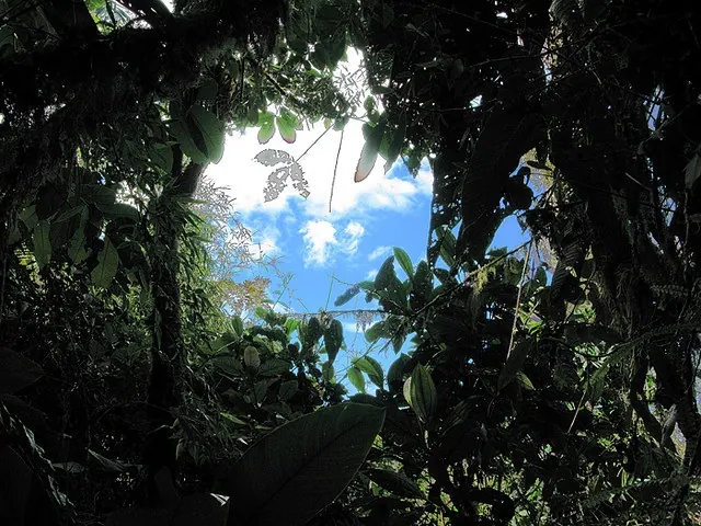 Ecotourism in Ecuador: Education for the Future