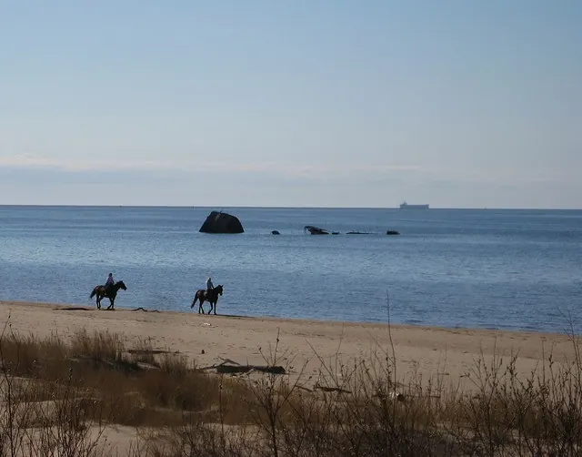 Ecotourism in Latvia: The Baltic's Hidden Treasure