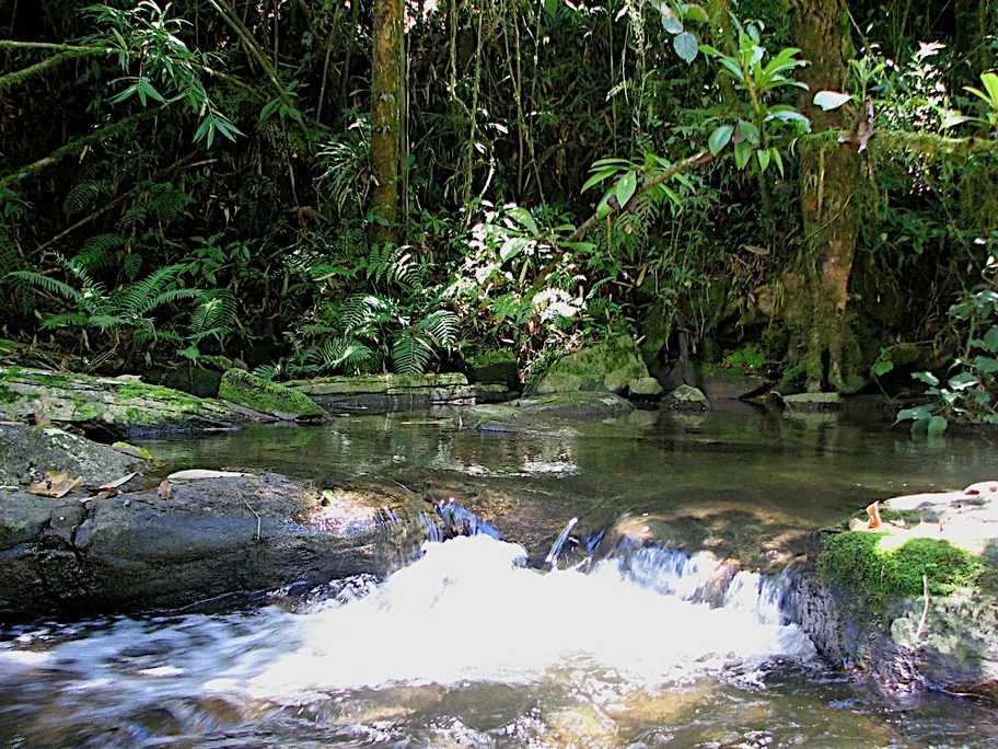 Madagascar, treasure island
