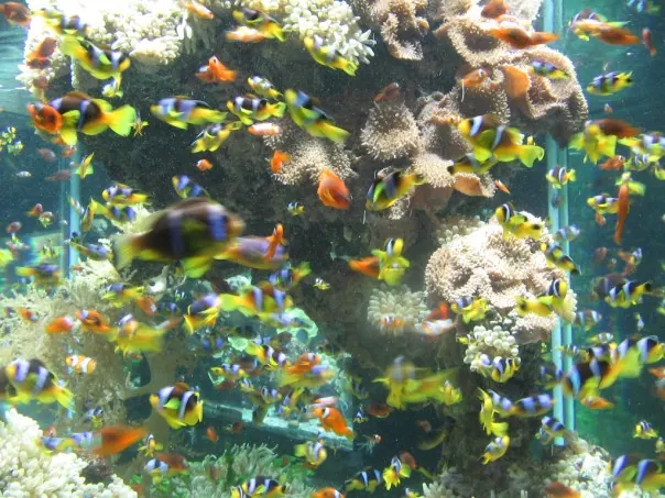 Sustainable Development and Ecotourism in Monaco