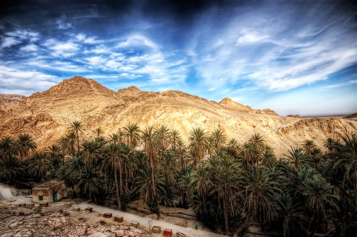 Ecotourism in Tunisia: Sustainable Tourism Development