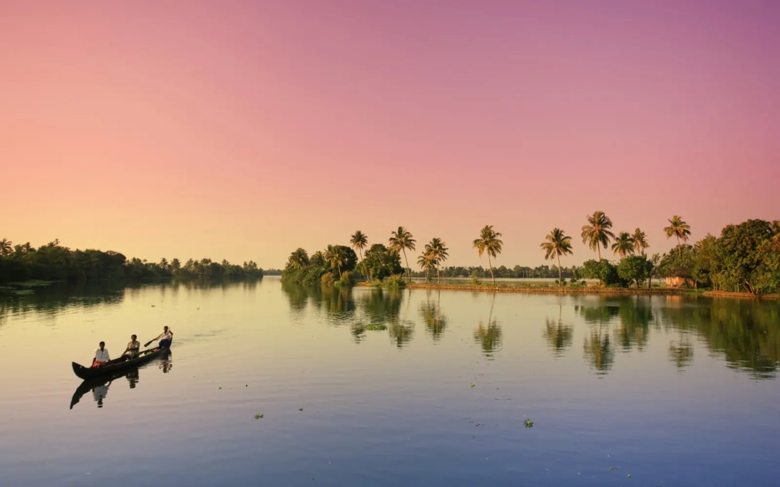 Ecotourism in Kerala backwaters