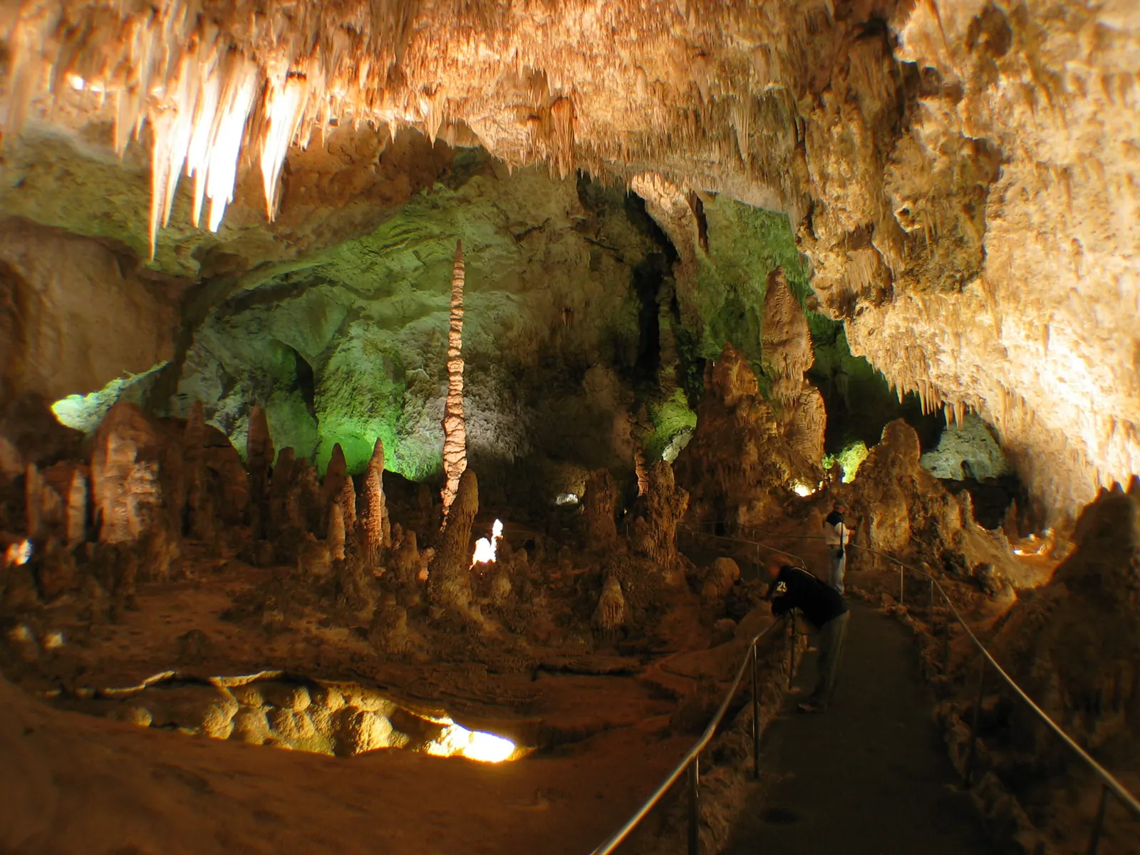 Carlsbad caverns New Mexico