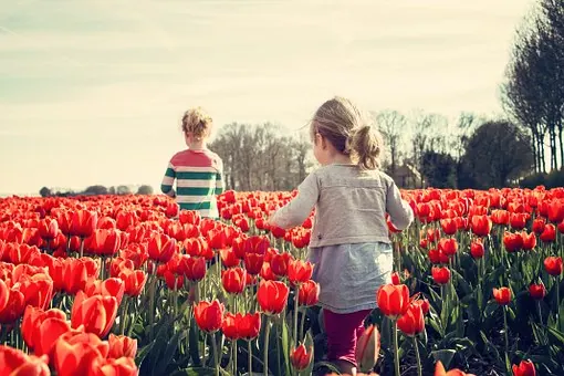 European getaway among the meadow flowers