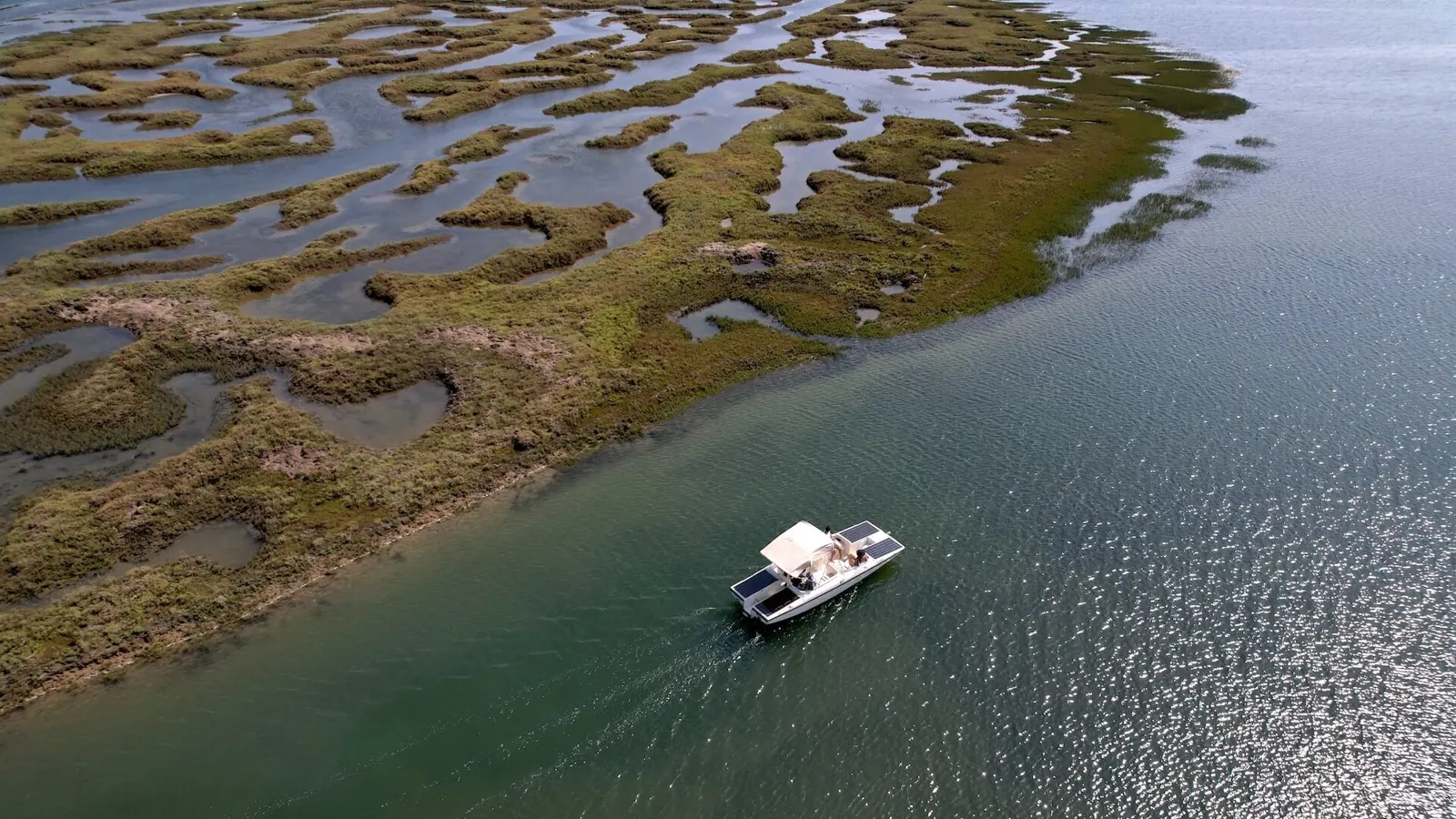 The Evolution of Ecotourism: From Inception to Modern Practices